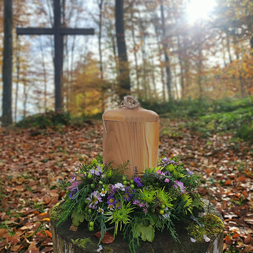 Naturbestattung Baumbestattung im Friedwald